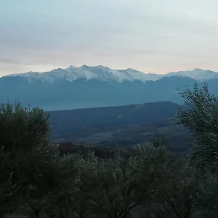 Kleio Ελατοχώρι