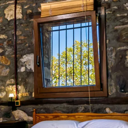 Kleio Dom wakacyjny Elatochori