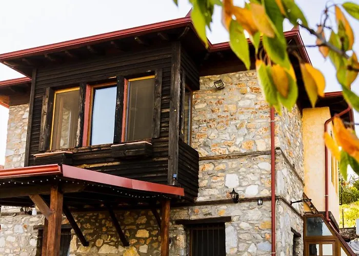 Kleio * Ελατοχώρι