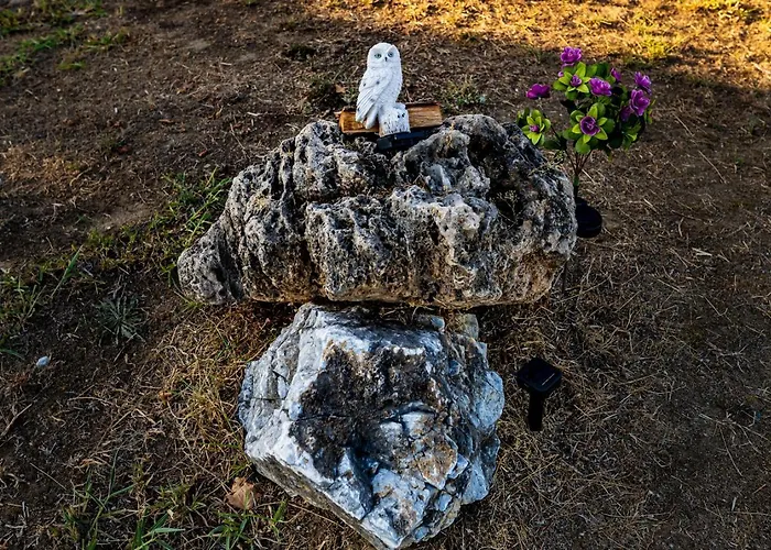 Kleio Σπίτι διακοπών *